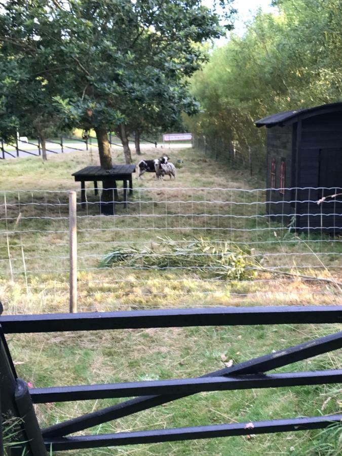 Sdr. Bork Villa Hemmet Bagian luar foto